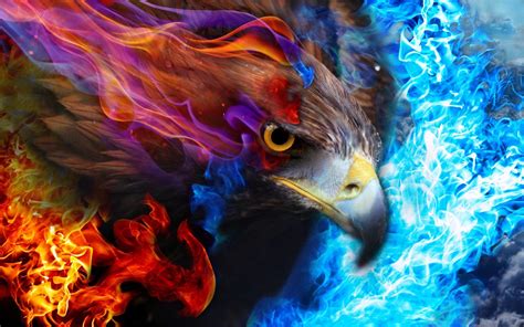 Neon Eagle Wallpapers Top Free Neon Eagle Backgrounds Wallpaperaccess