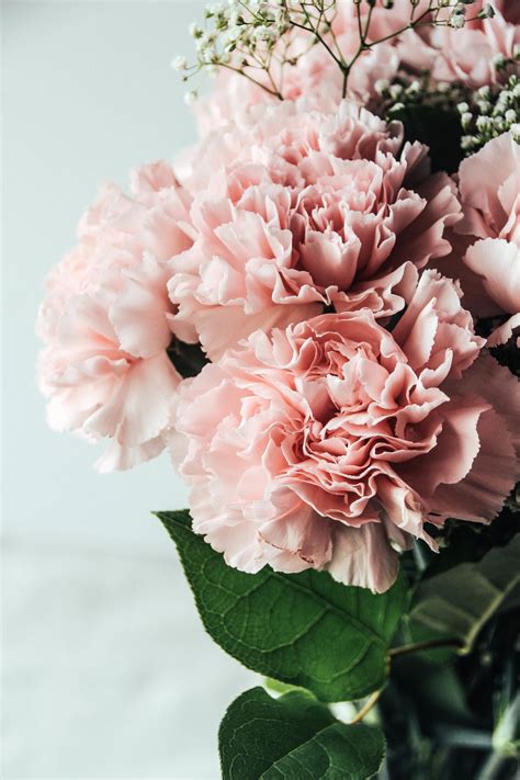 Abby Ingwersens Portfolio Bloom Flowers Pretty Flowers Wedding