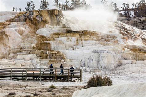 Mammoth Hot Springs Complex Usa With Map And Photos
