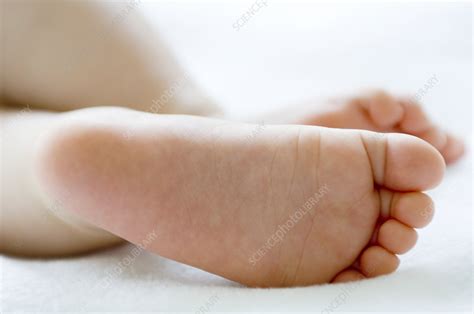 Babys Feet Stock Image M8301828 Science Photo Library