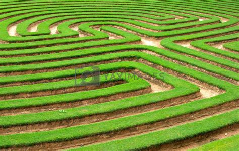 Grass Maze By Clearviewstock Vectors And Illustrations With Unlimited Downloads Yayimages