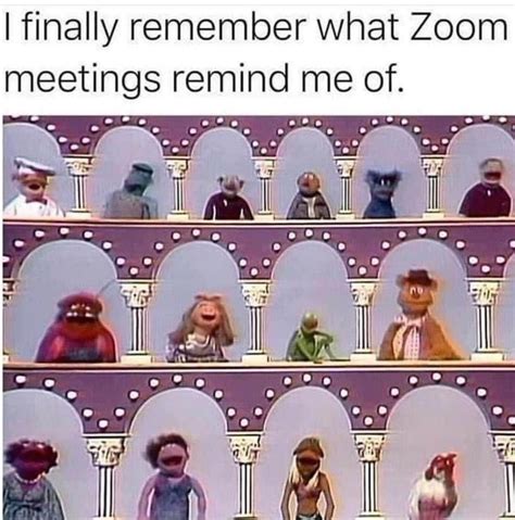 *sweating profusely during meeting, screaming internally as i go through the most important points. Zoom meetings in 2020 | Stupid funny memes, Really funny ...