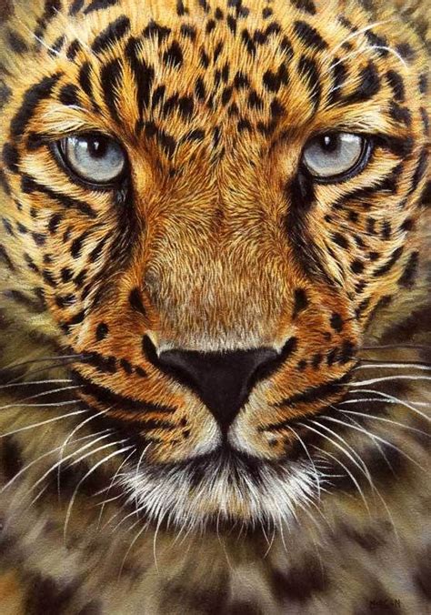 Leopard Art Work Leopard Oil Painting How To Paint