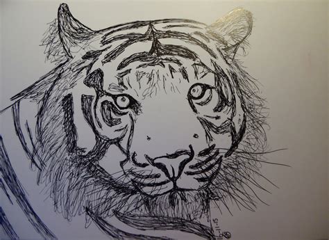 Door je beter te leren kijken. Dieren tekeningen Inkt - Elise tekent..