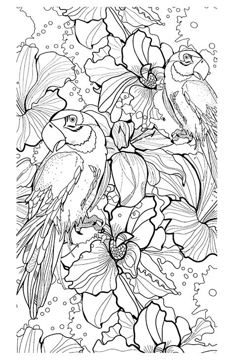 Adult Bird Coloring Pages