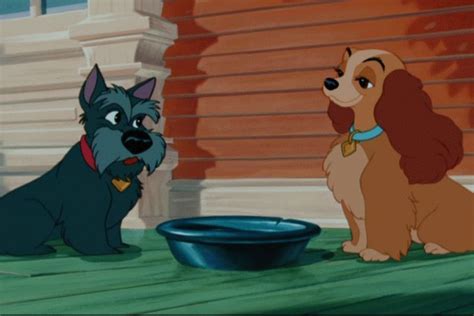 Lady And The Tramp Disneys Lady And The Tramp Image 9523931 Fanpop