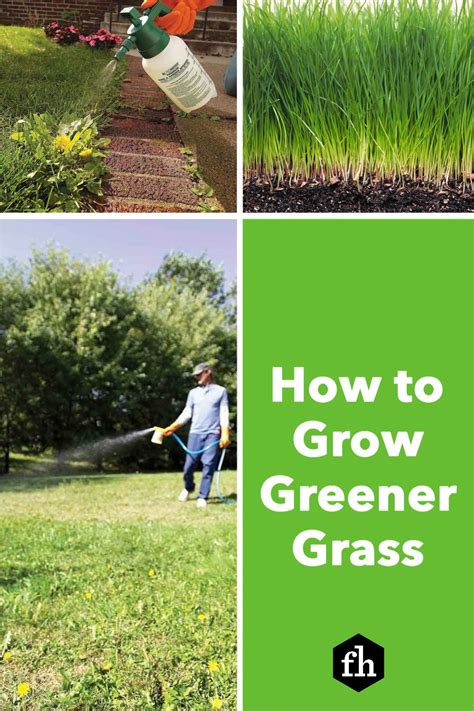 Outdoor Diy Projects Diy Outdoor Greener Grass Summer Lawn Soil Ph