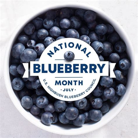 National Blueberry Month Toolkit - USHBC