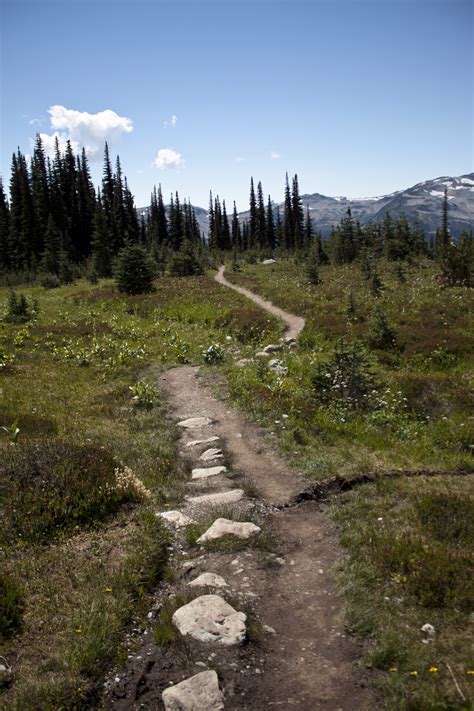 Blackcomb Alpine Hiking Trails | Vancouver Trails