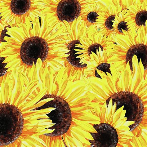 Sunflowers Watercolor Field Painting By Irina Sztukowski Sunflower
