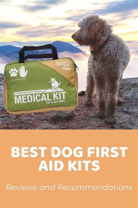 Best Dog First Aid Kit Reviews And Recommendations Updated 2022