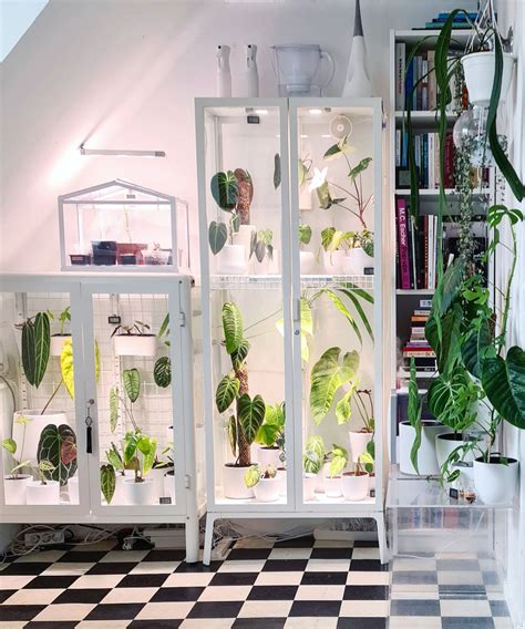 The Ikea Greenhouse Cabinet Is The Ultimate Ikea Hack For Plant Lovers