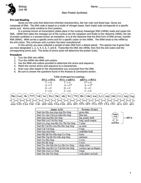 Nucleic Acids And Protein Synthesis Worksheet Answers Nidecmege My