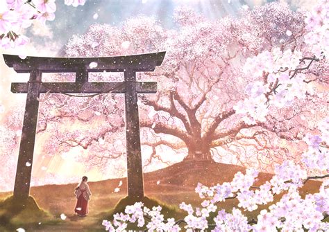 Sakura Trees Anime Aesthetic Wallpaper Anime Japan La