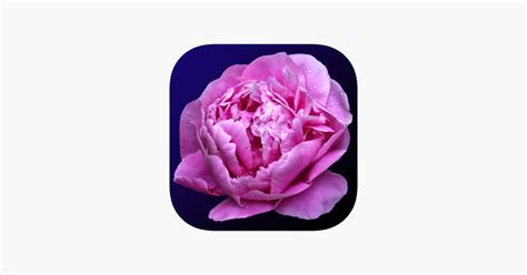 ‎indiana Wildflowers On The App Store