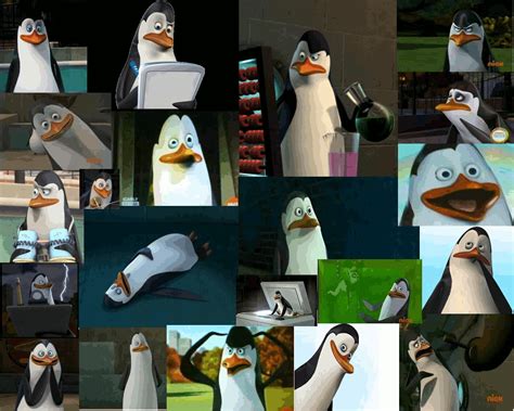 Kowalski the Penguin Wallpaper - Kowalski Wallpaper 