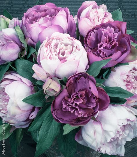 Bouquet Of Peony Flowers Purple Tone And Dark Background Stock Photo
