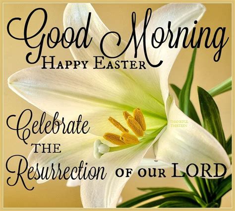 Good Morning Happy Easter Celebrate The Resurrection Pictures Photos