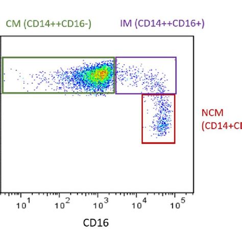 Monocyte Subsets In Humans Flow Cytometry Plot Produced By The Authors