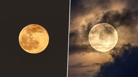 #wolffullmoon happy wolf full moon, january 28, 2021. Viral News | Wolf Moon 2021: Twitterati Share Pics of the First Full Moon of the Year | 👍 LatestLY