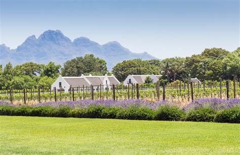 Cape Town To Franschhoek Best Routes And Travel Advice Kimkim