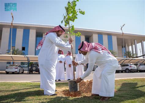 اليوم الوطني/ مبادرة "الجوف واحة خضراء" تغرس 93 شجرة في كل بلدية