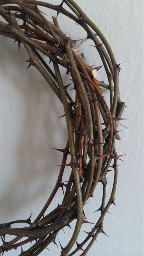 Sharp Real Thorn Wreath Natural Locust Acacia Thorns Crown Etsy