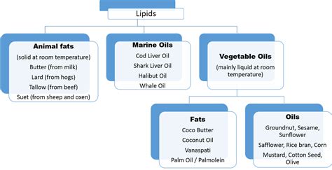 Food Science Notes For 2nd Semester Hm Students Unit 3 Fats And Oils