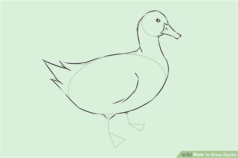 How To Draw Ducks With Pictures Wikihow Types Of Ducks Learn To