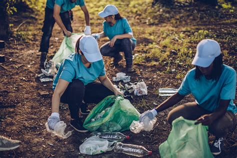 Volunteers Cleaning Nature Stock Photo Download Image Now Istock