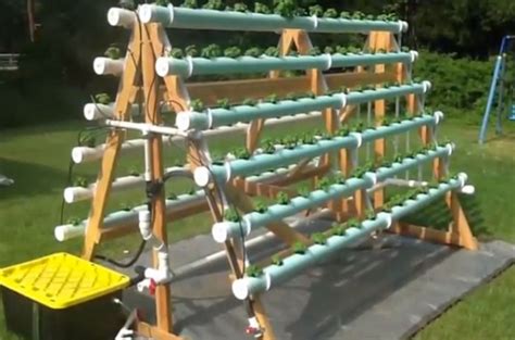 Have you ever thought about starting a garden to help feed your family but. How To Build A DIY Vertical Hydroponic Veggie Garden | How ...