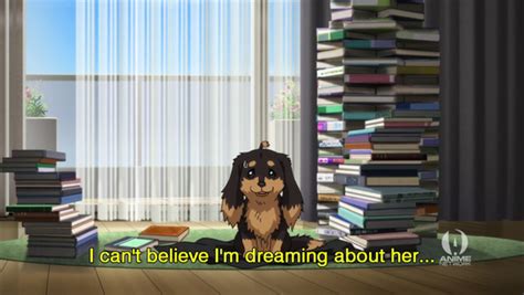 Dog X Scissors Anime Review Anime Reviews Dogs Anime