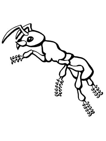 Ants still have a relationship with wasps and bees, this insect belongs to the order hymenoptera. 301 Moved Permanently