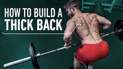 Best Back And Biceps Strength Training Exercises