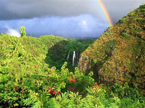 Rainbow Over Waterfall And Mountain Forest Wallpaper And Background