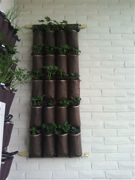 Shoe Organizer Planters Vertical Wall Planter Ideas