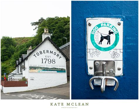 Tobermory Isle Of Mull Kate Mclean Photography