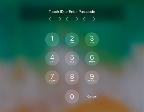 How To Set Up Or Change Your Passcode And Touch Id On The Ipad Idexx