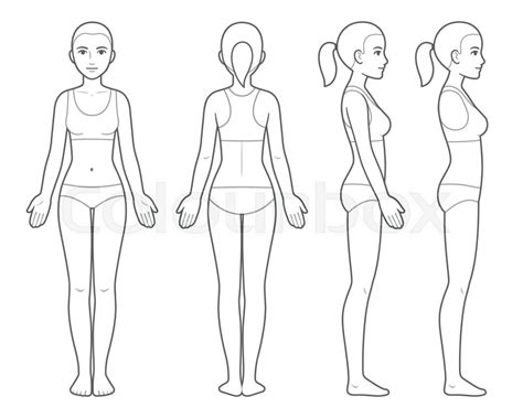 Medical Female Body Outline
