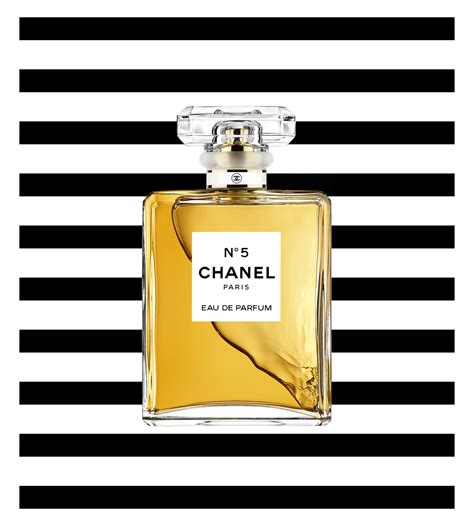 Printable Chanel Perfume Label Printable Coloring Pages
