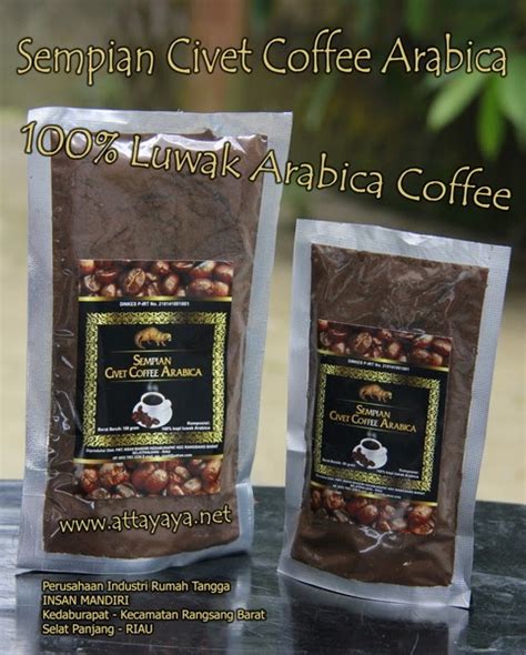 sempian kopi luwak arabica indonesia attayaya blog