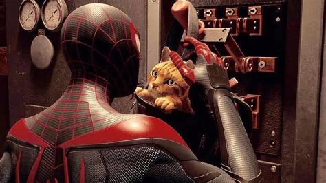 ≡ Spider Cat Will Appear In Marvels Spider Man Miles Morales 》 Game