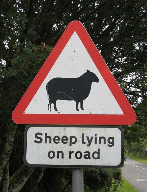 155 Best Images About Funny Road Signs On Pinterest