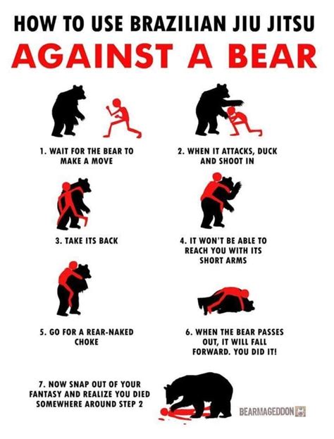 Fighting Bears Meme Guy