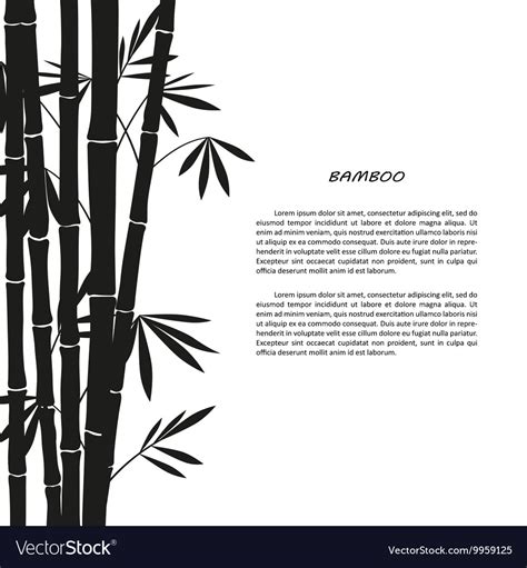 Black Bamboo Silhouette On A White Background Vector Image