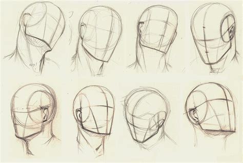How To Draw A Human Head How To Do Thing