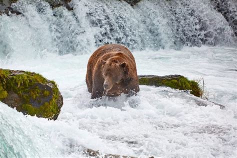 15 Amazing Waterfalls In Alaska The Crazy Tourist