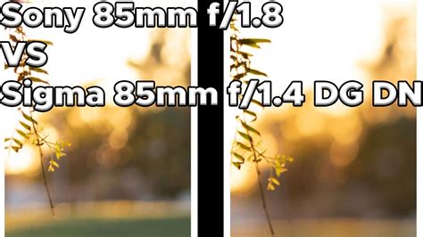 Sony 85mm F18 Vs Sigma 85mm F14 Dg Dn Lens Bokeh Comparison Youtube