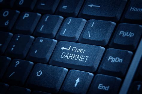I Lluminate Exploring The Dark Web Tor For Activism Align