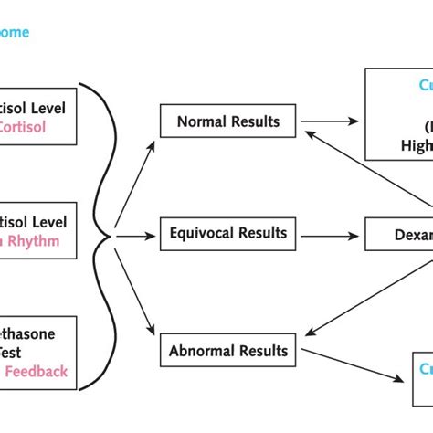 Cushings Syndrome Diagnostic Algorithm Download Scientific Diagram